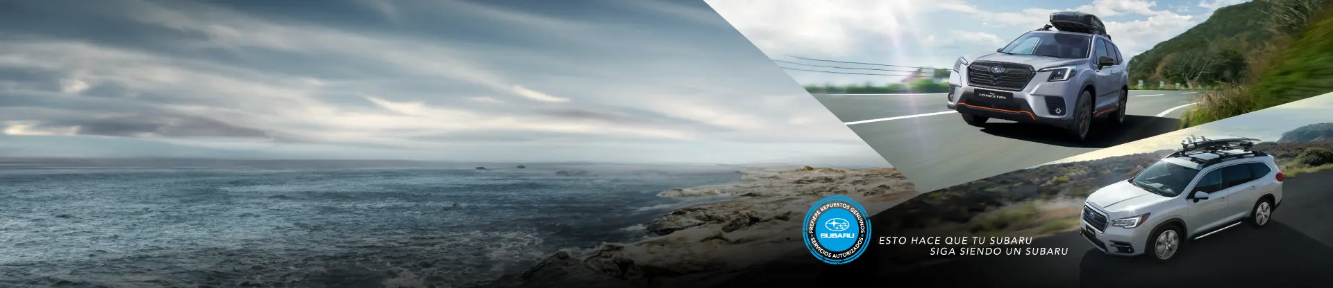Edit de autos Subaru en carretera  y vista al mar