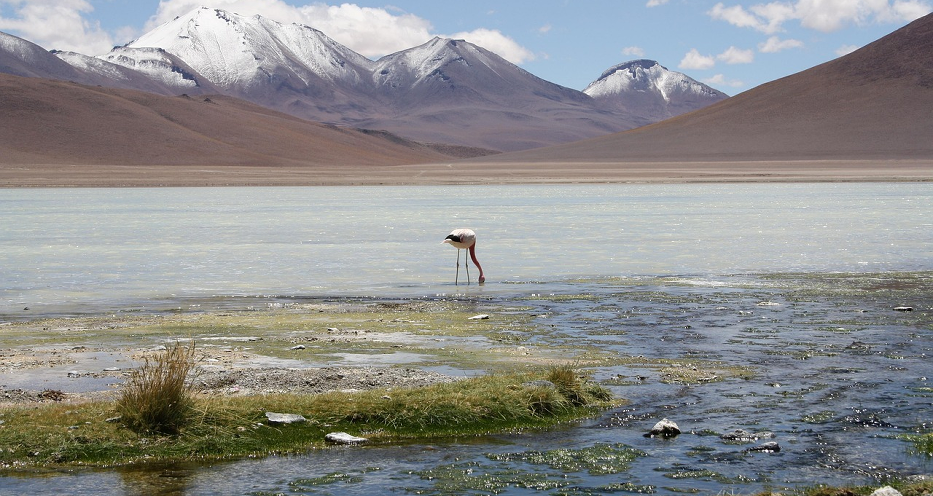 Región de Antofagasta