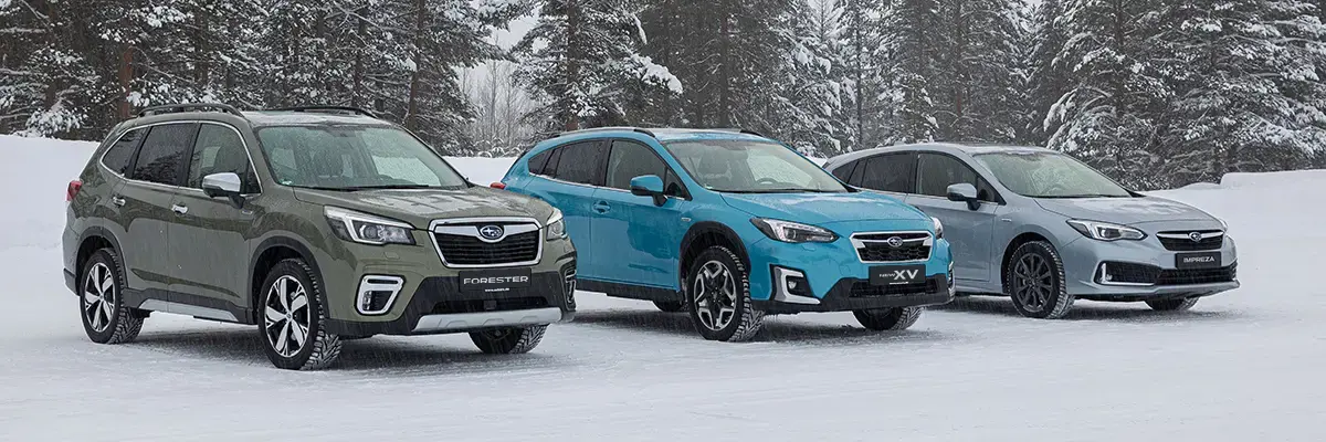 Tipos de automóviles que puedes encontrar en Subaru