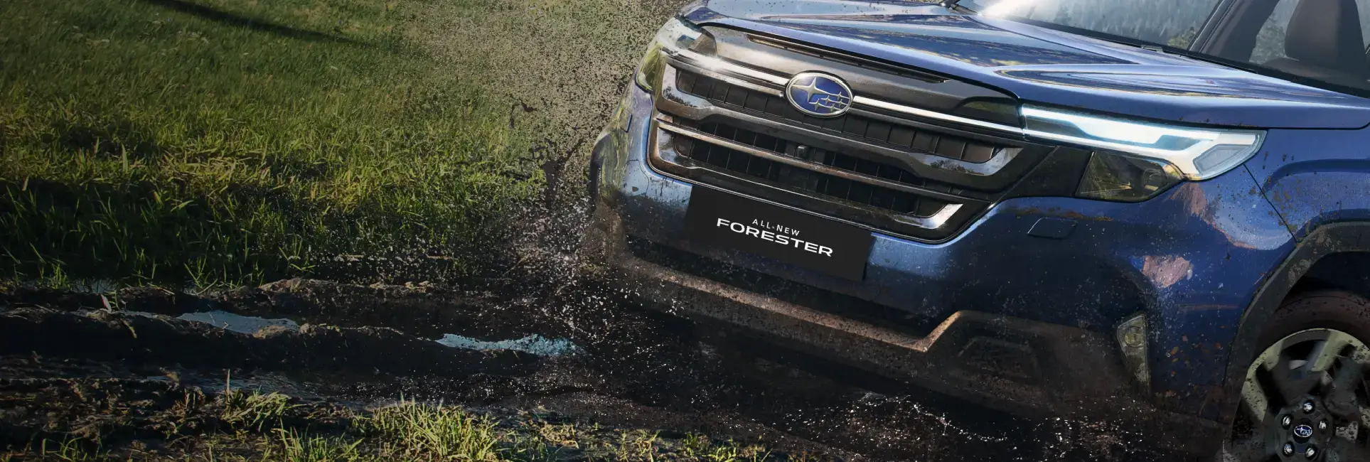 Diseño exterior All New Trailseeker