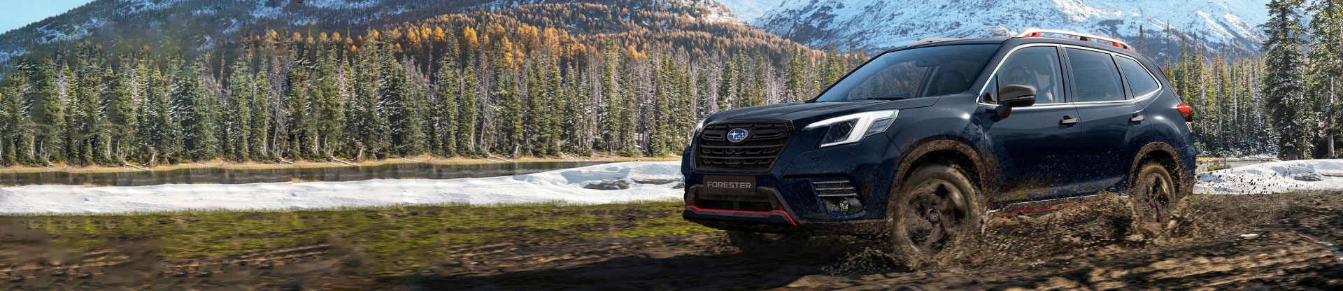 Subaru Forester en camino con lodo y vegetación de fondo