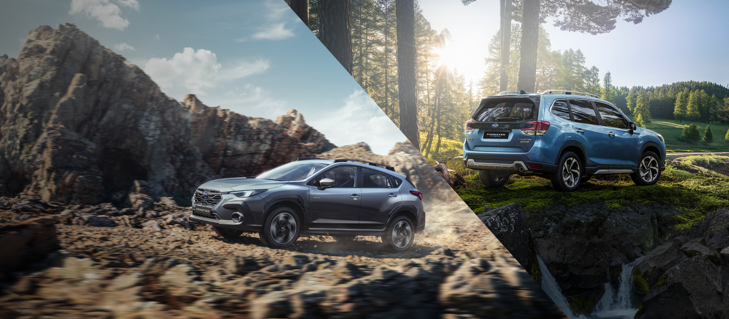 Fichas de Seguridad Modelos Híbridos