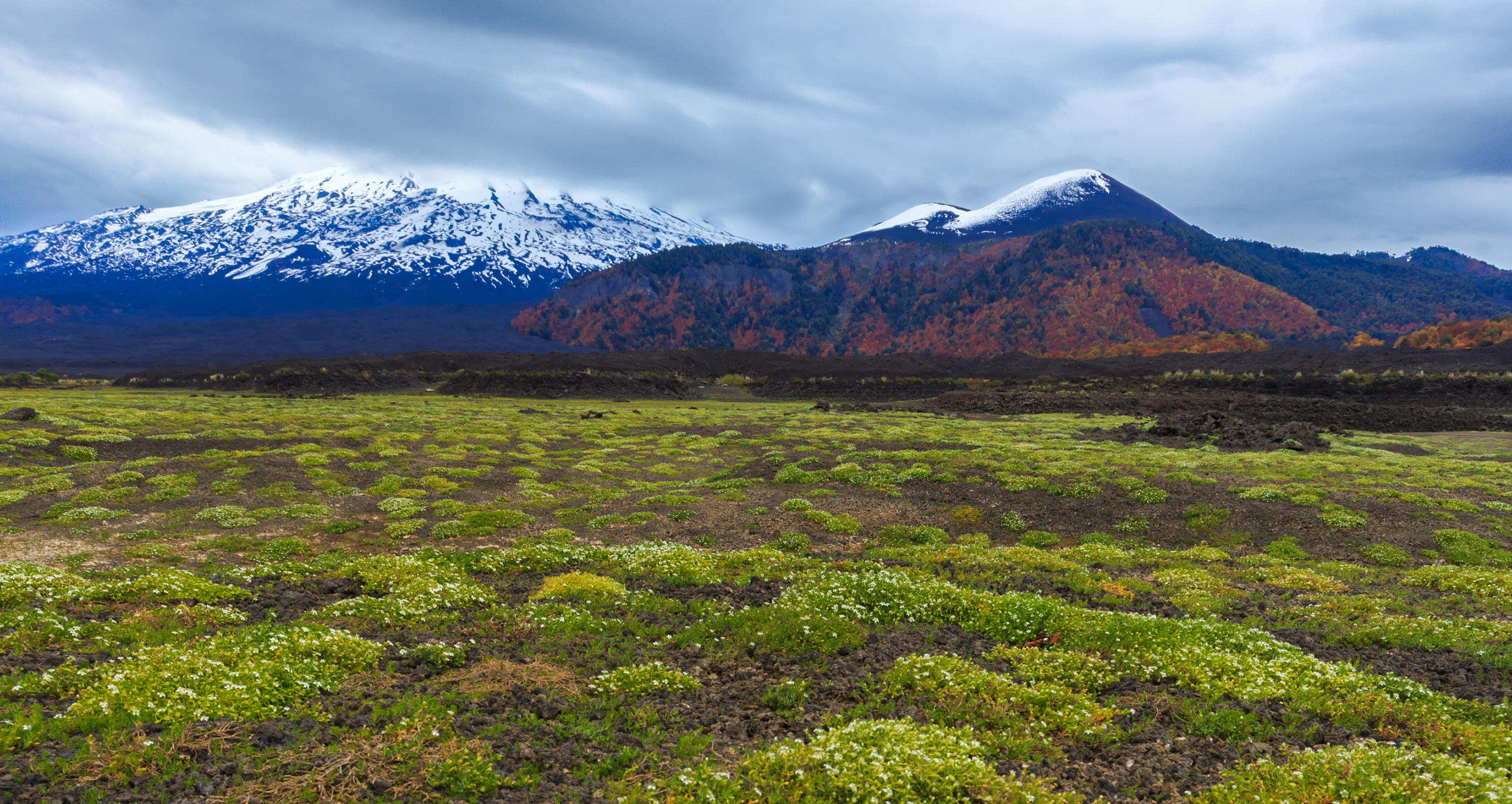 Región de la Araucanía